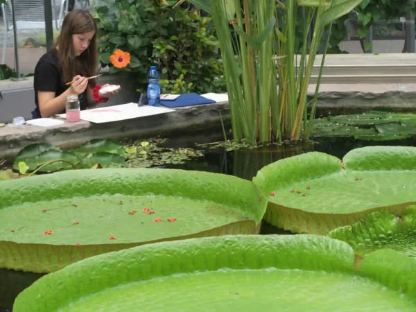 Aquarellmalen im Botanischen Garten